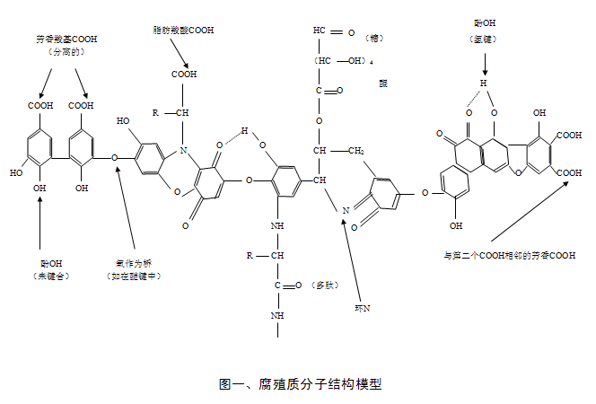 腐殖質(zhì)技術(shù)